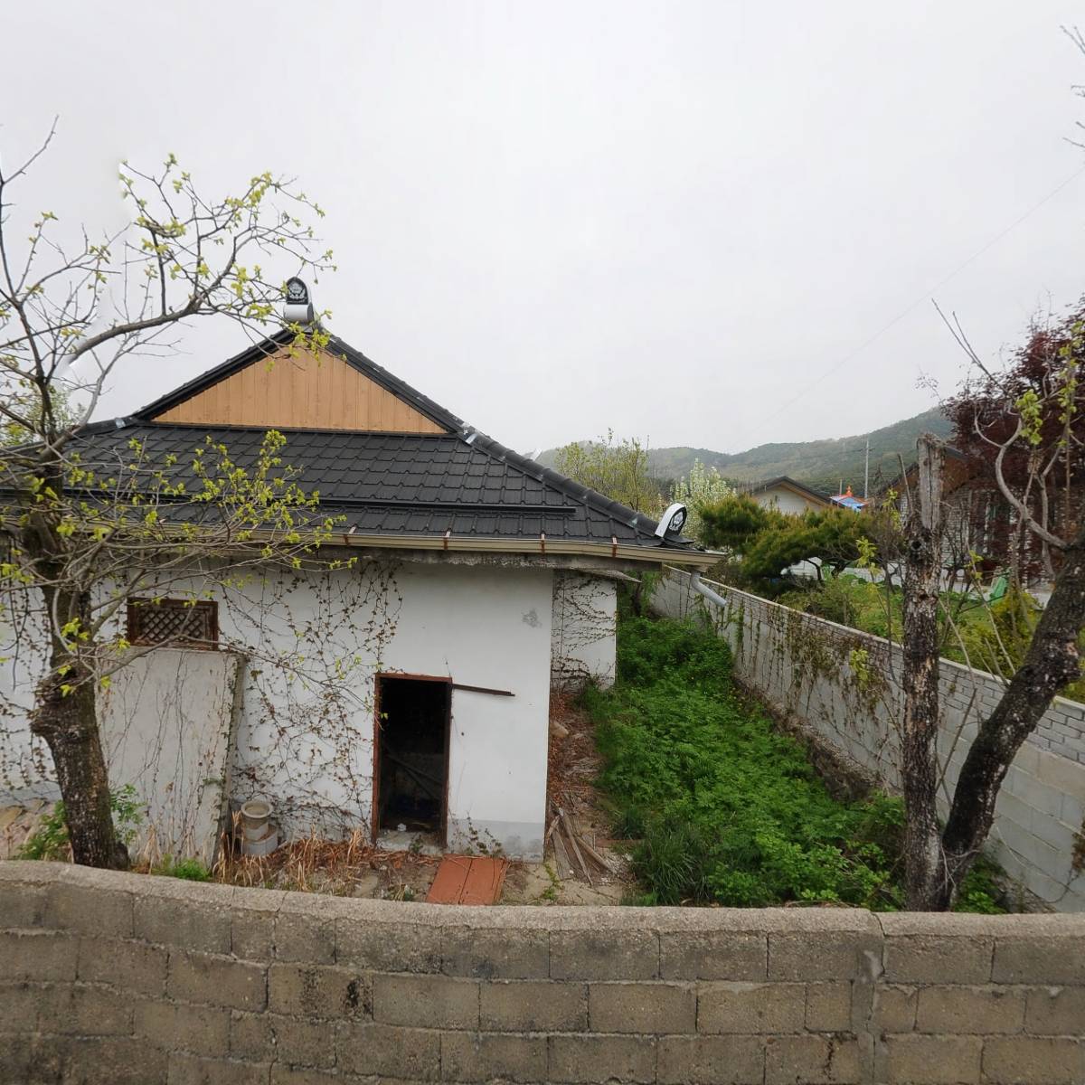 리미쥬_3