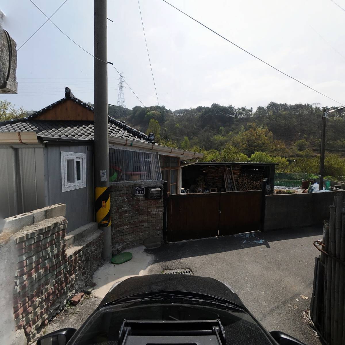 산동고사리_4