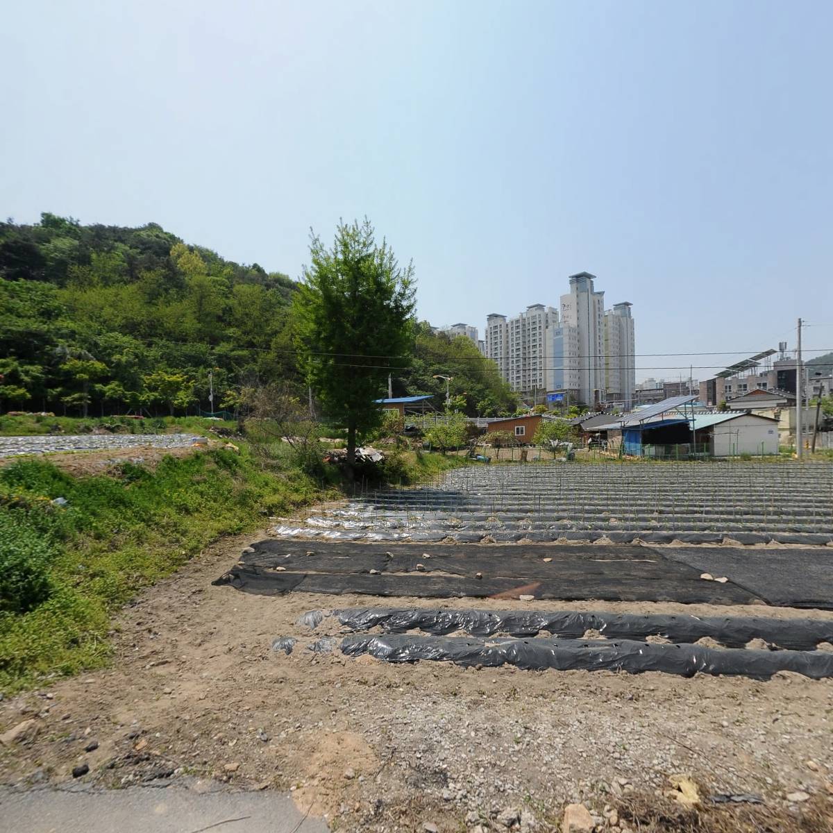 재단법인엘림선교재단