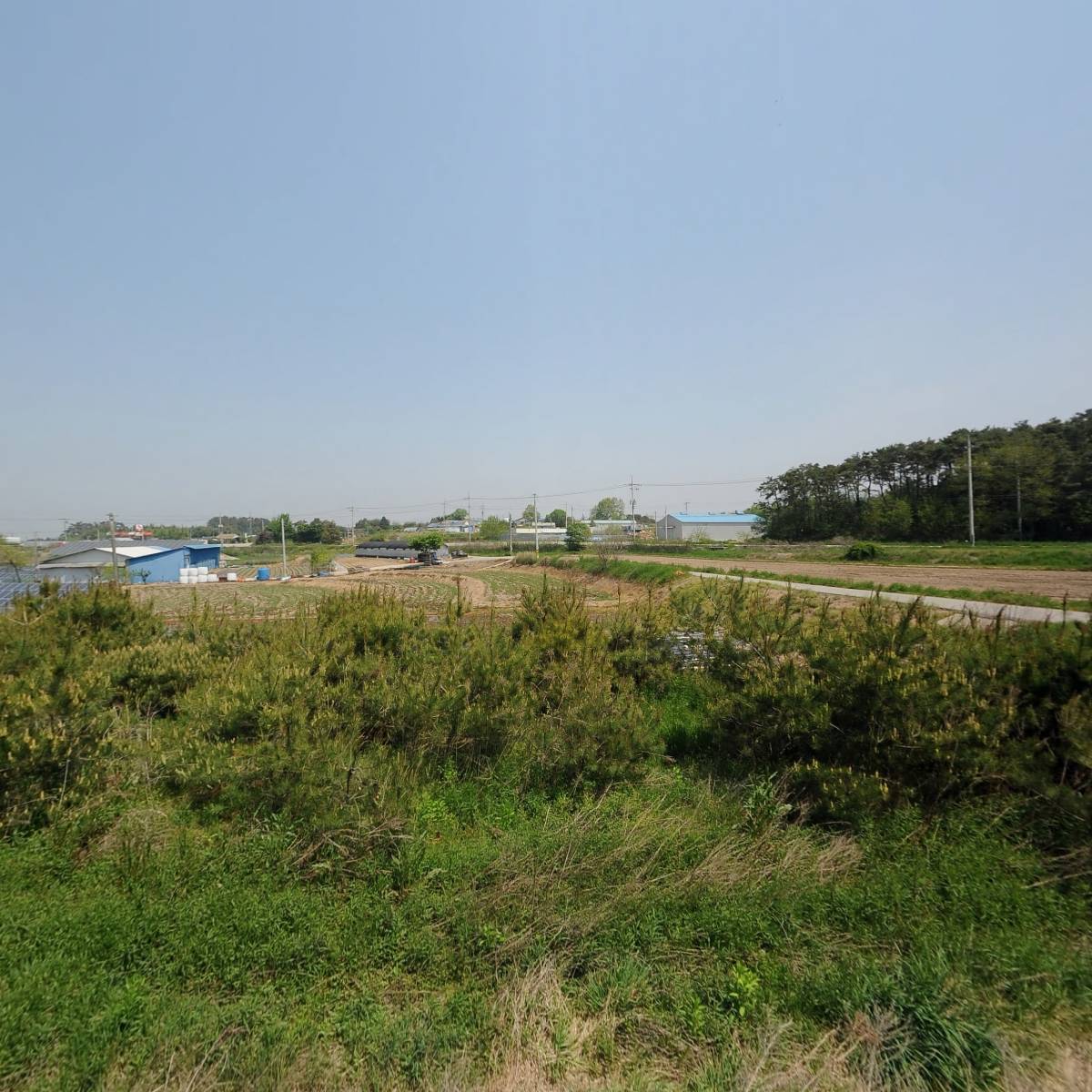 대관령농수산_3