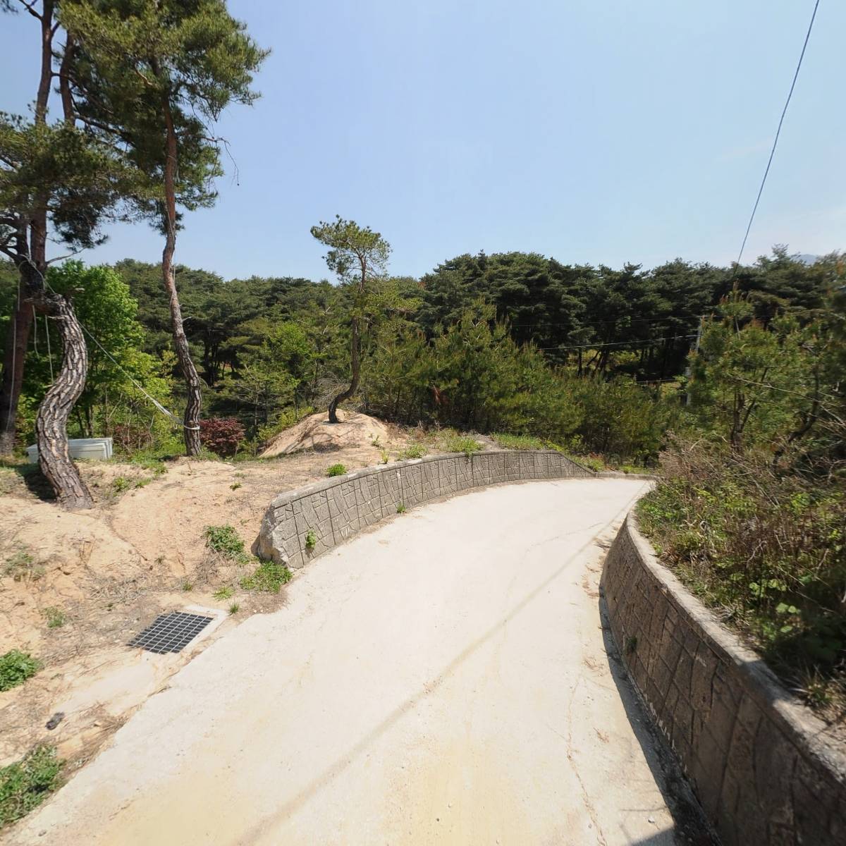 세노_2