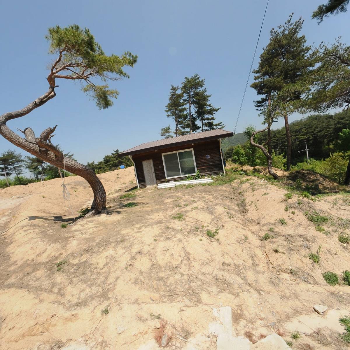 세노