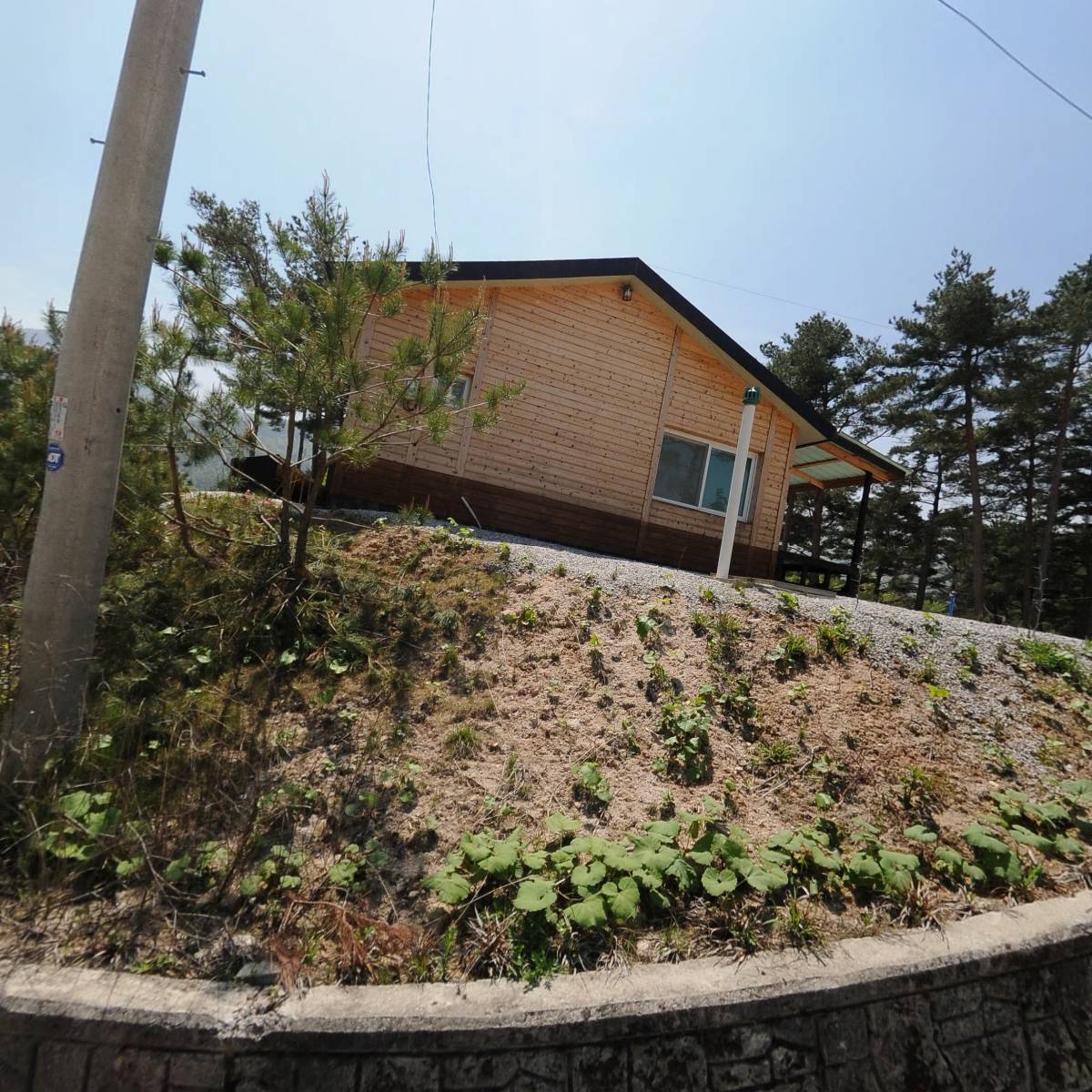 세노_3