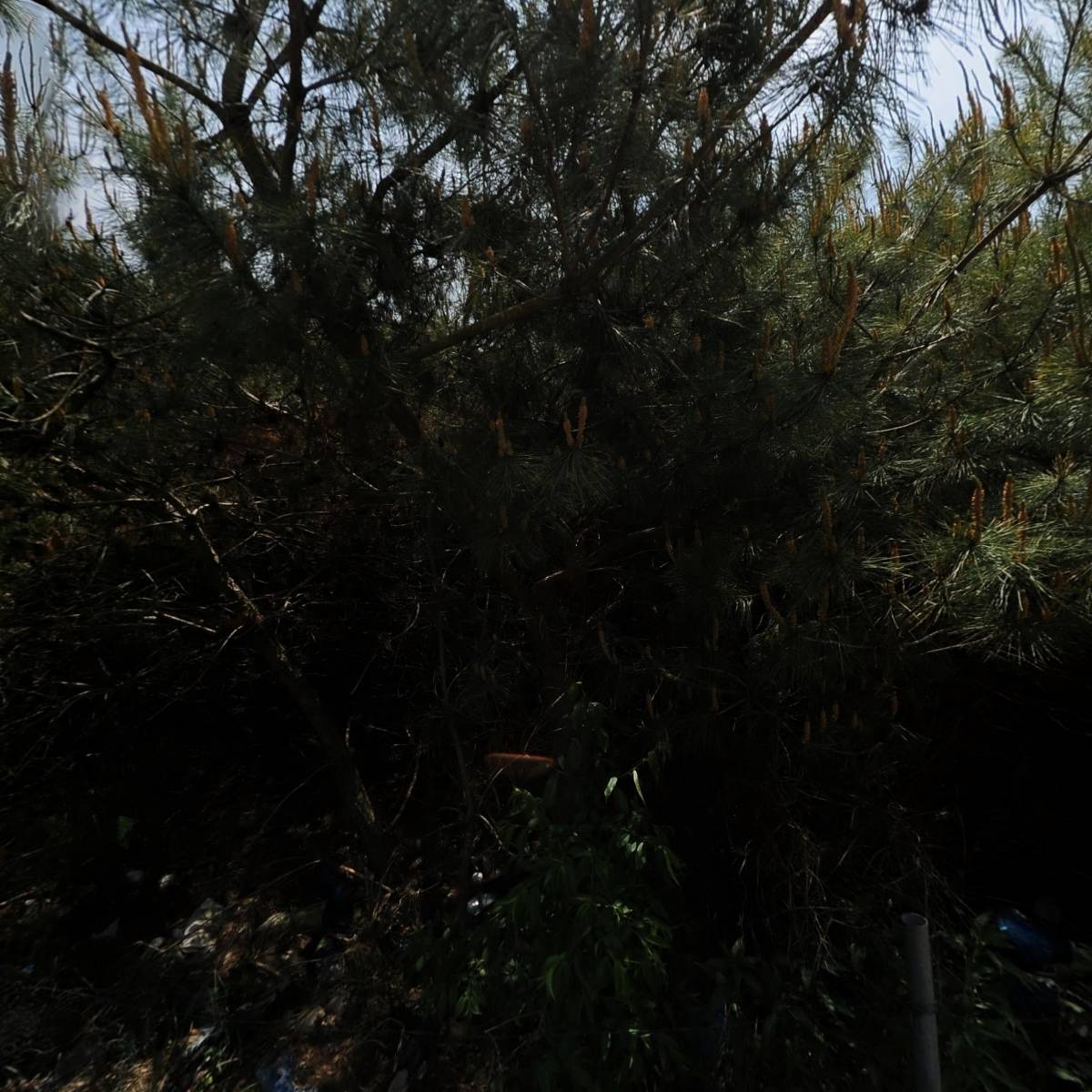 오인곤 기아자동차대리점