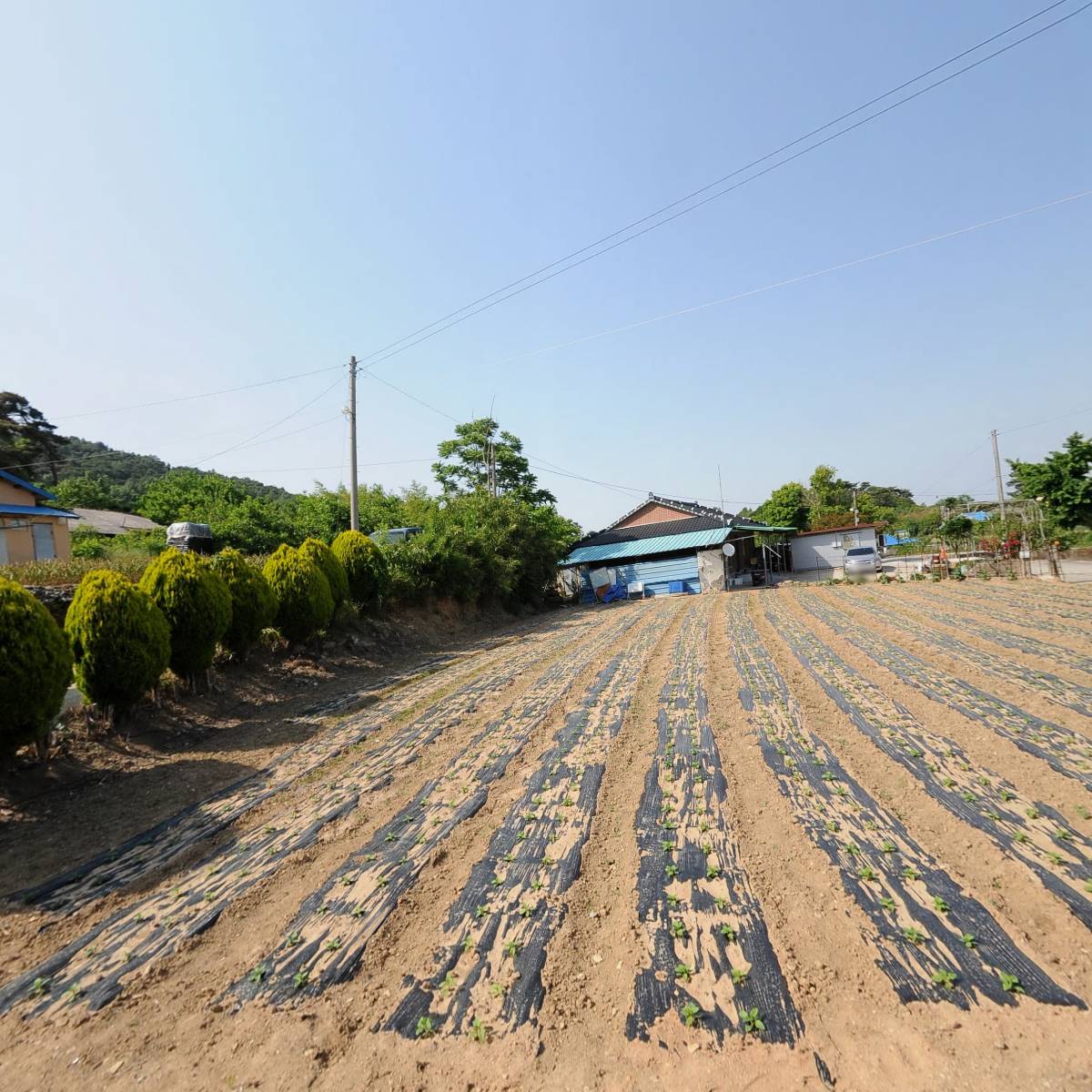 세영영농조합법인