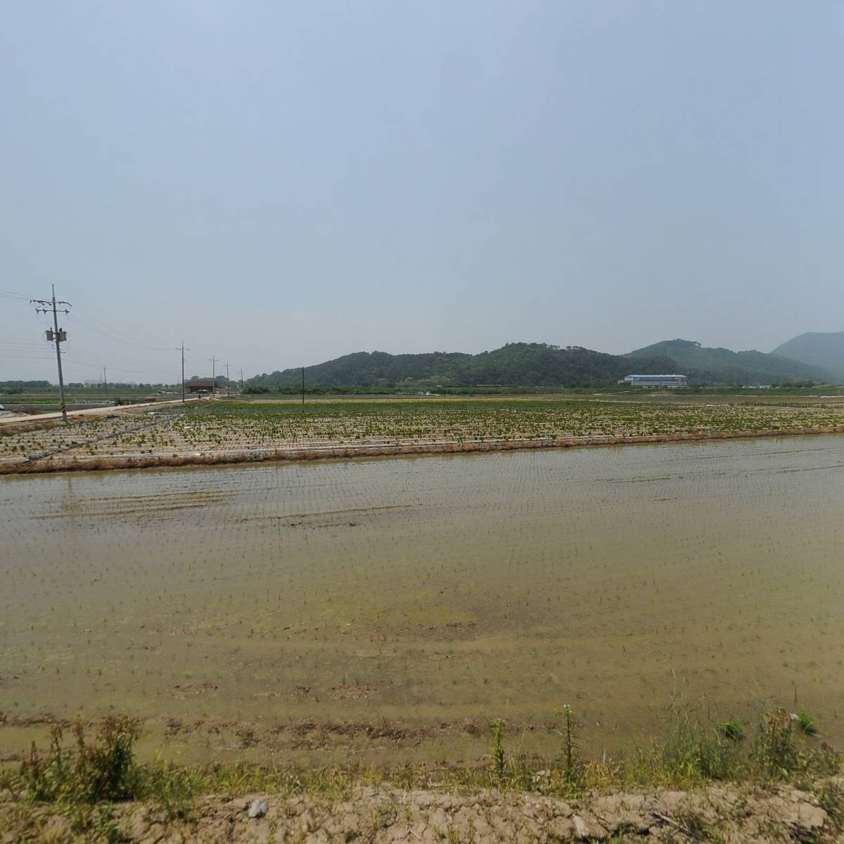 한국푸드테라피협동조합