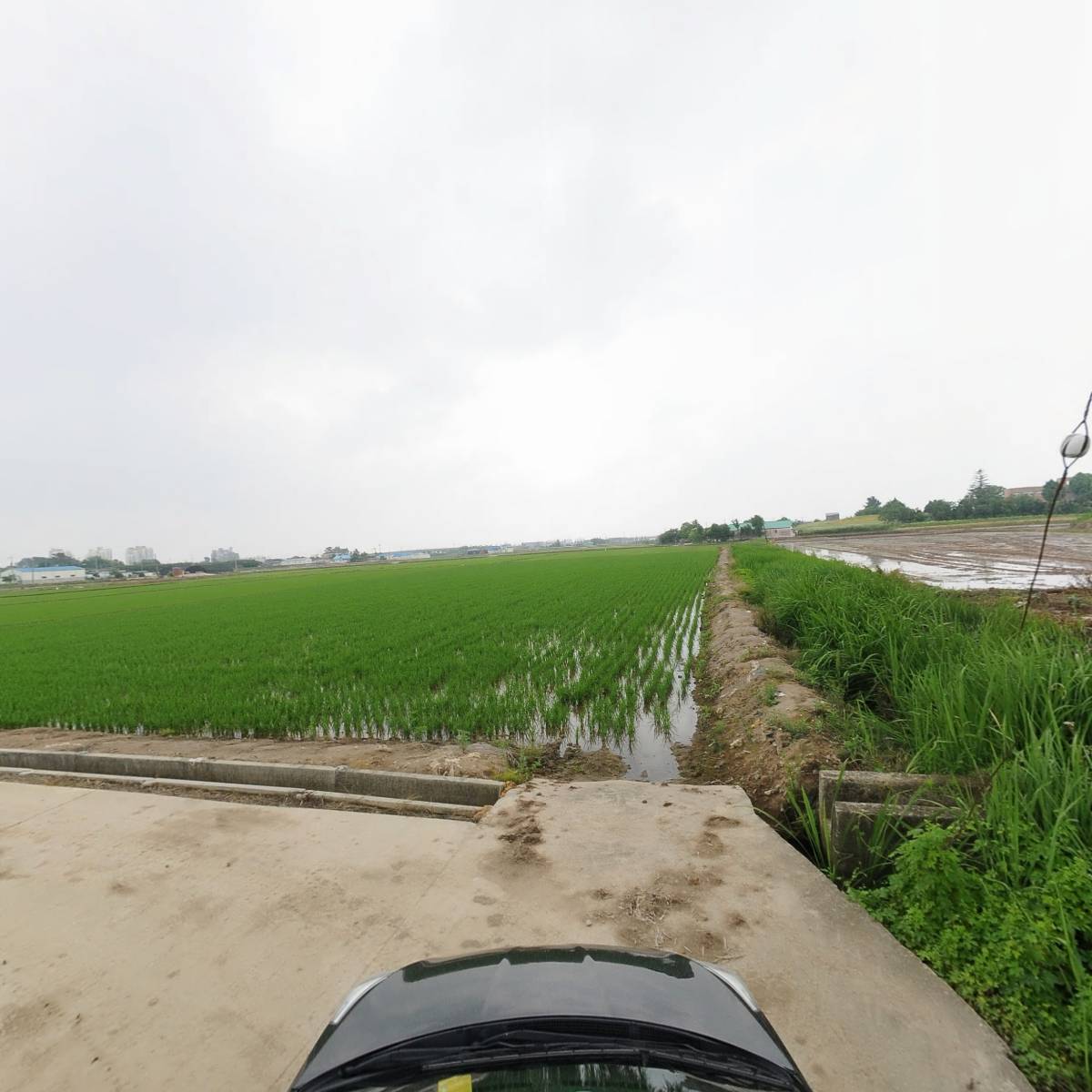 선우글로벌_4