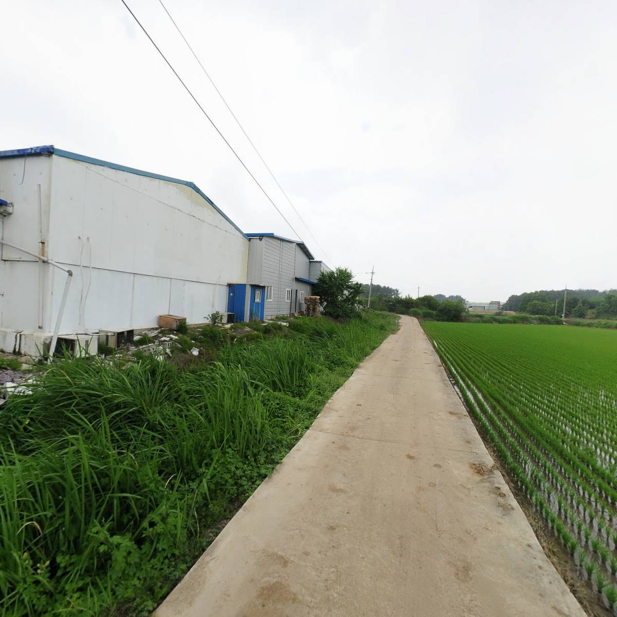 선우글로벌_2