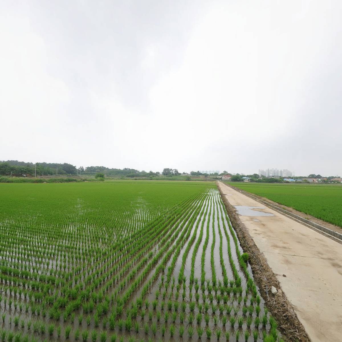 선우글로벌_3