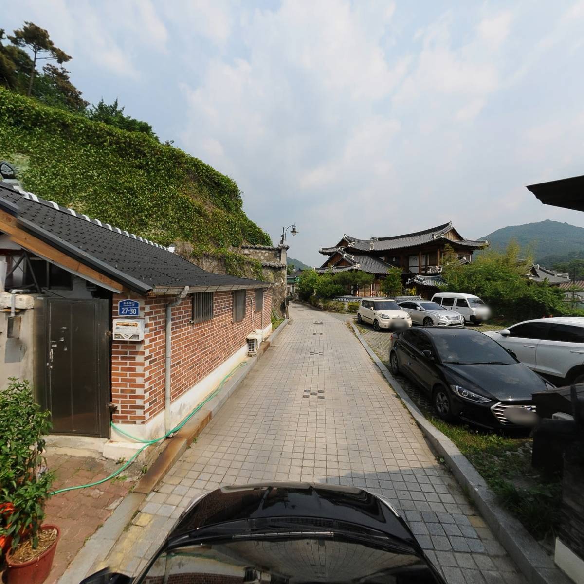 통신나무_4