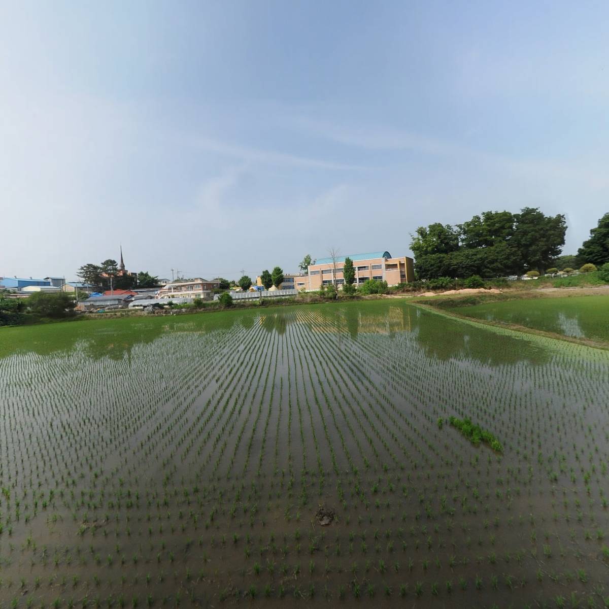 충남에코뉴스쿨