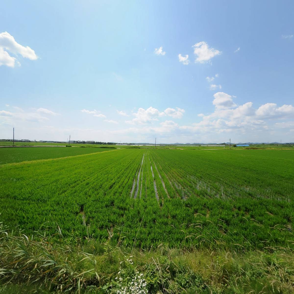 농업회사법인 한사랑유통(주)_3