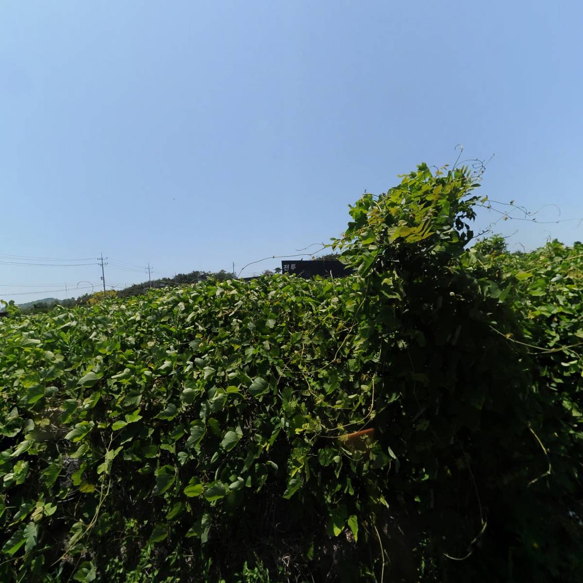 백제농산영농조합법인_3
