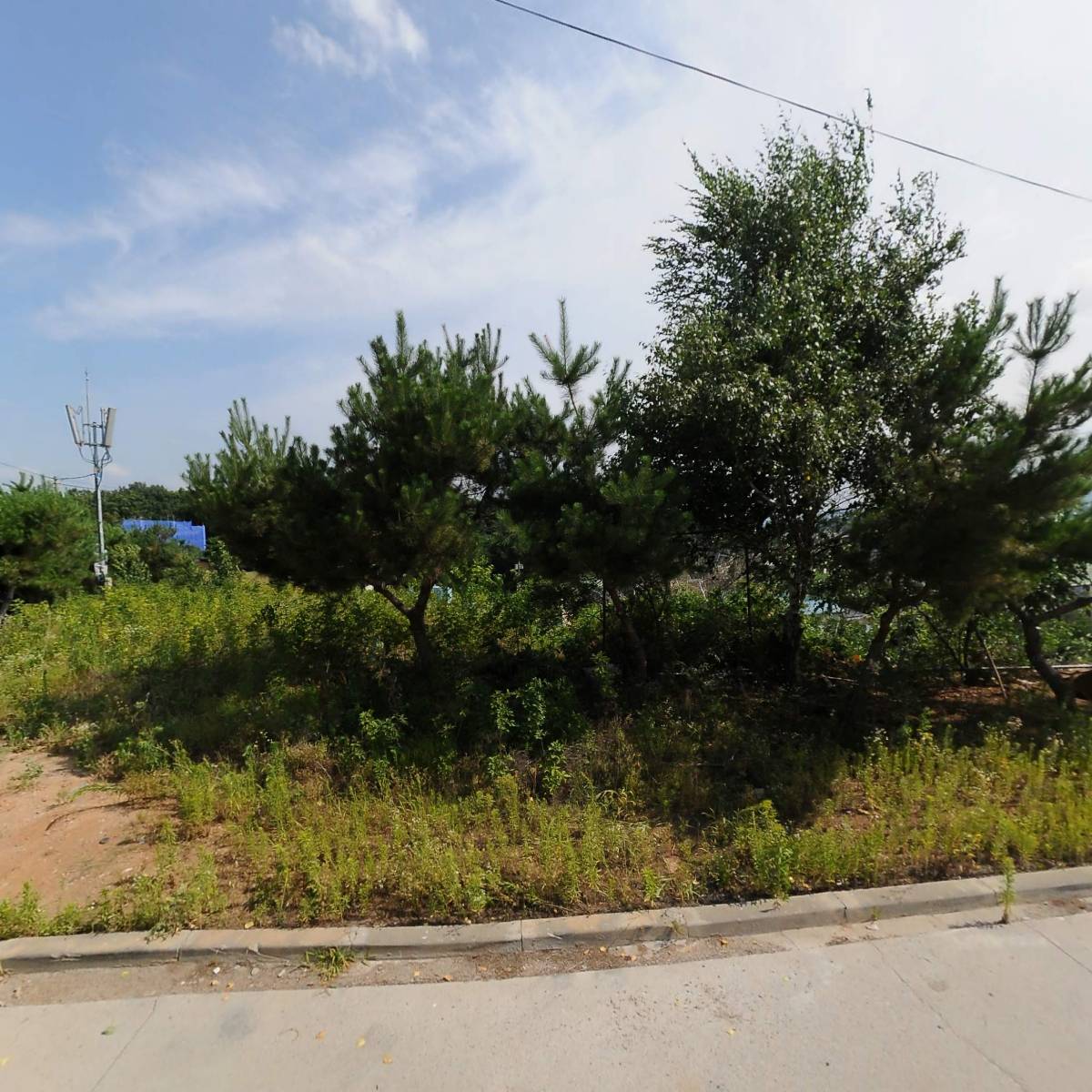파차(pacha)_3