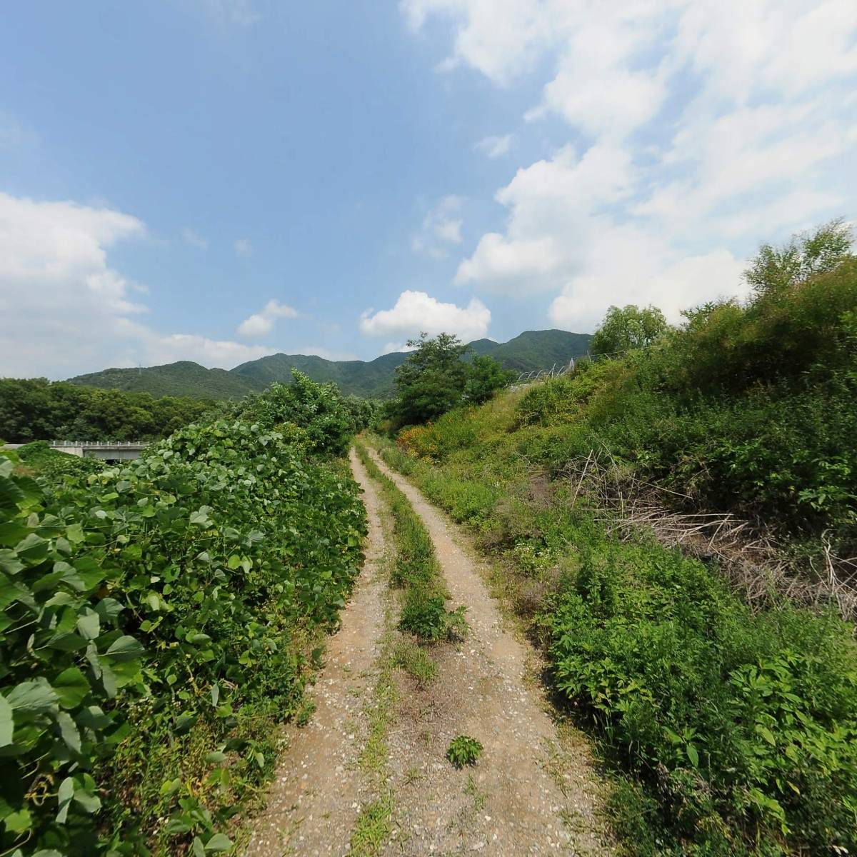 한국건강진흥불교재단_2