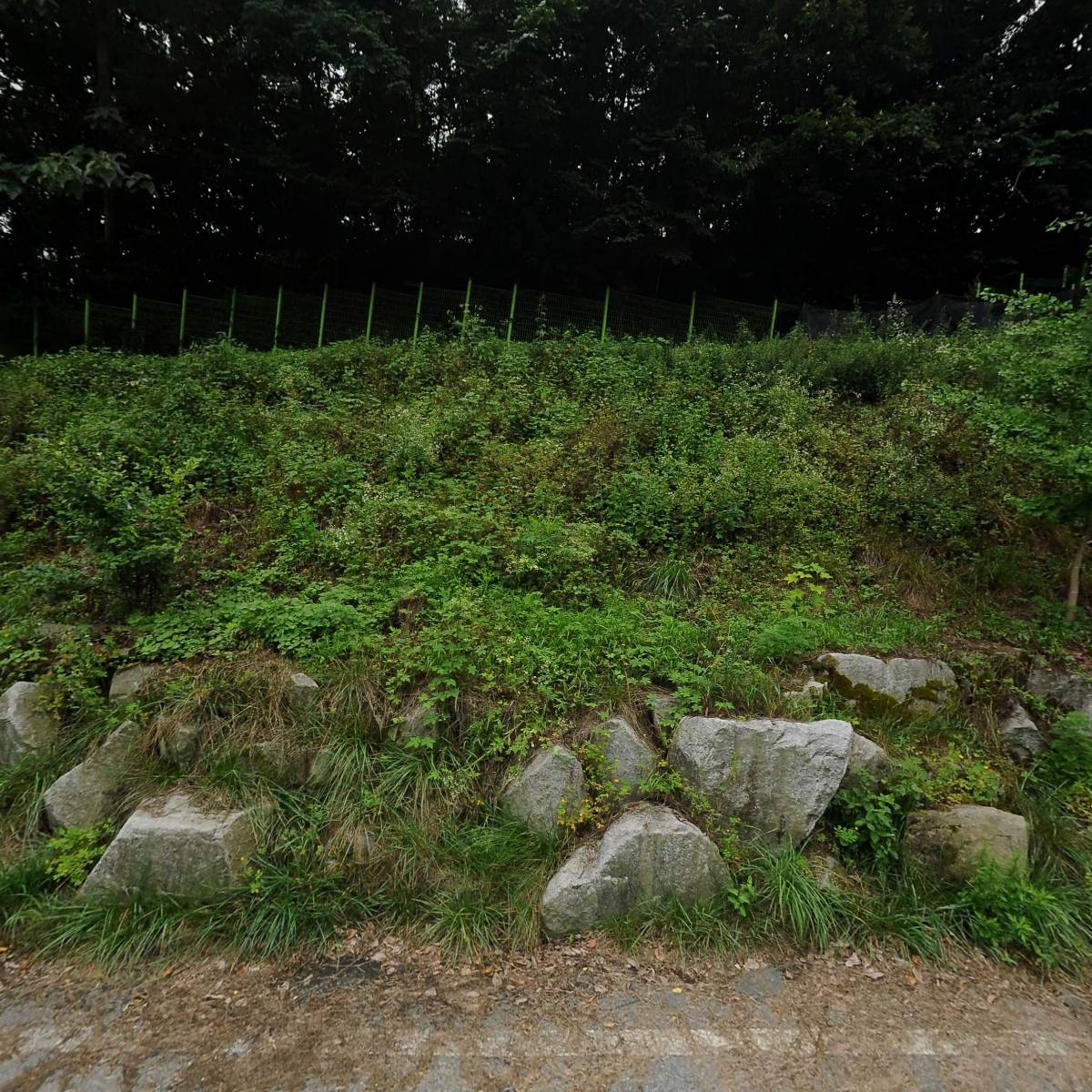 디와이씨(주)_3