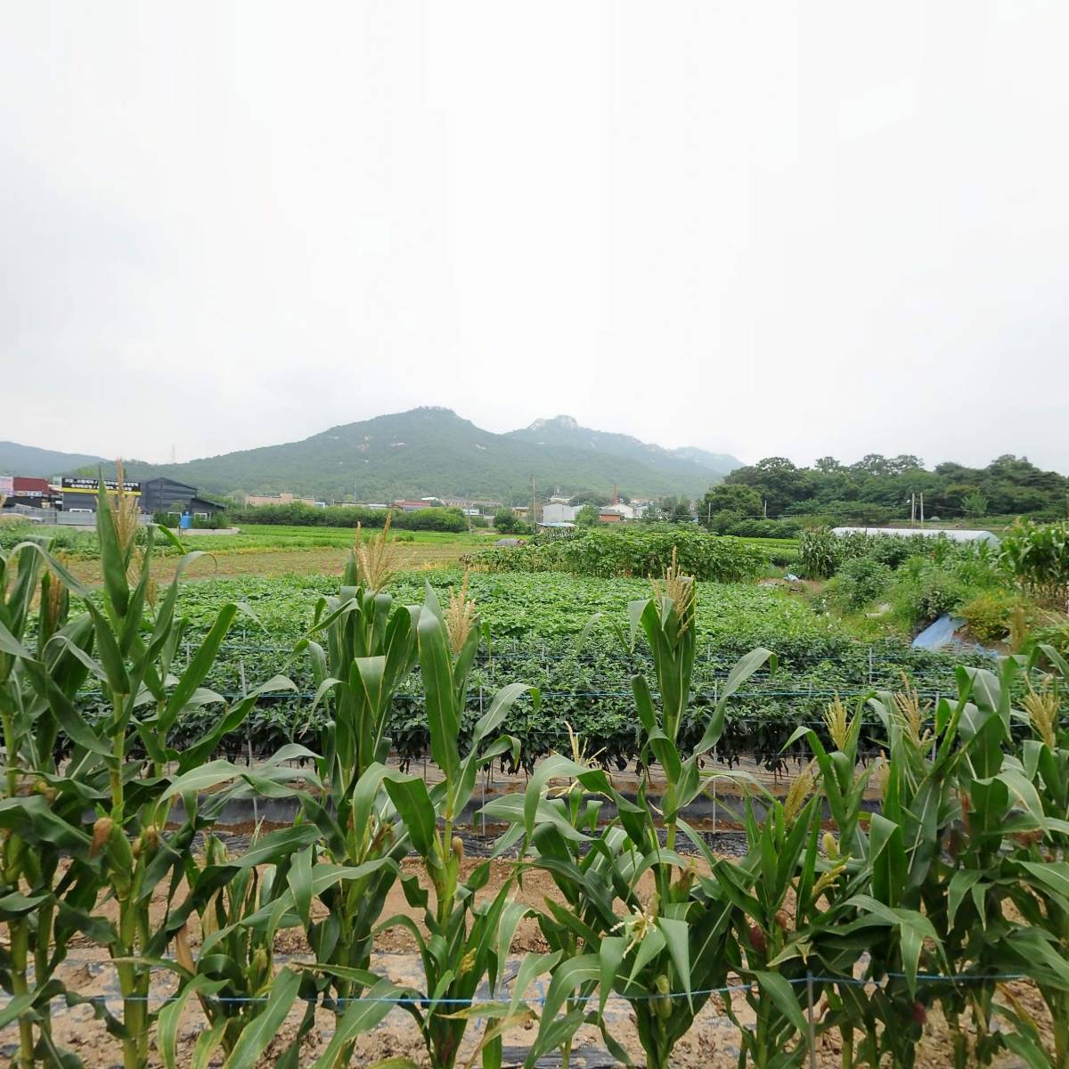 태민측량설계사무소_3