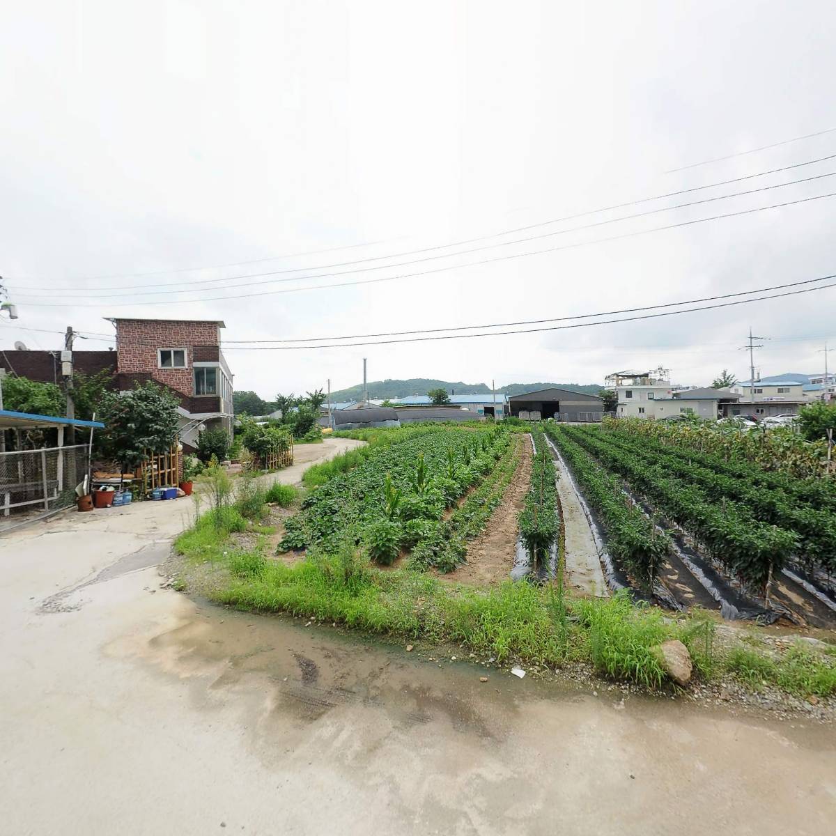 주식회사 비엘컴퍼니