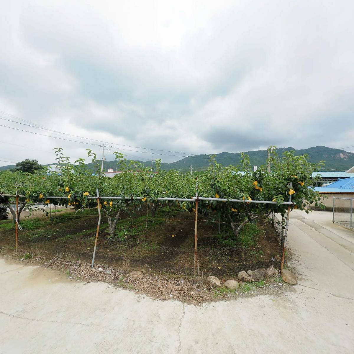 주식회사 비엘컴퍼니_3