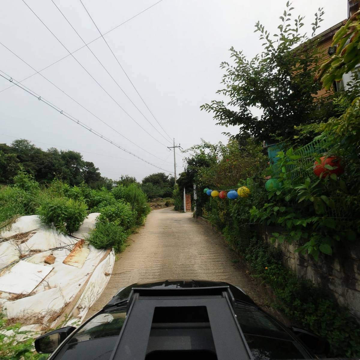 한국불교태고종 해인정사_4