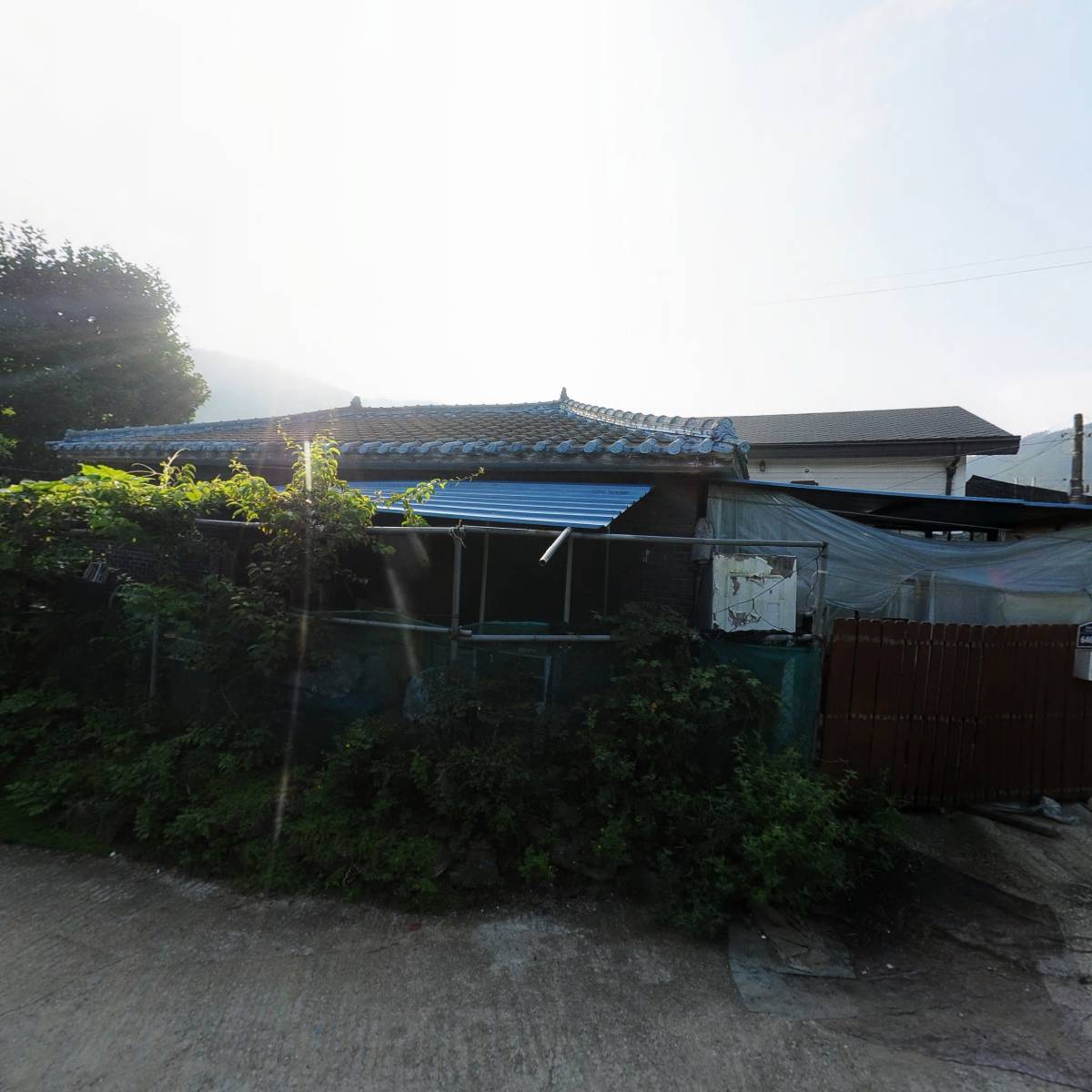 선형