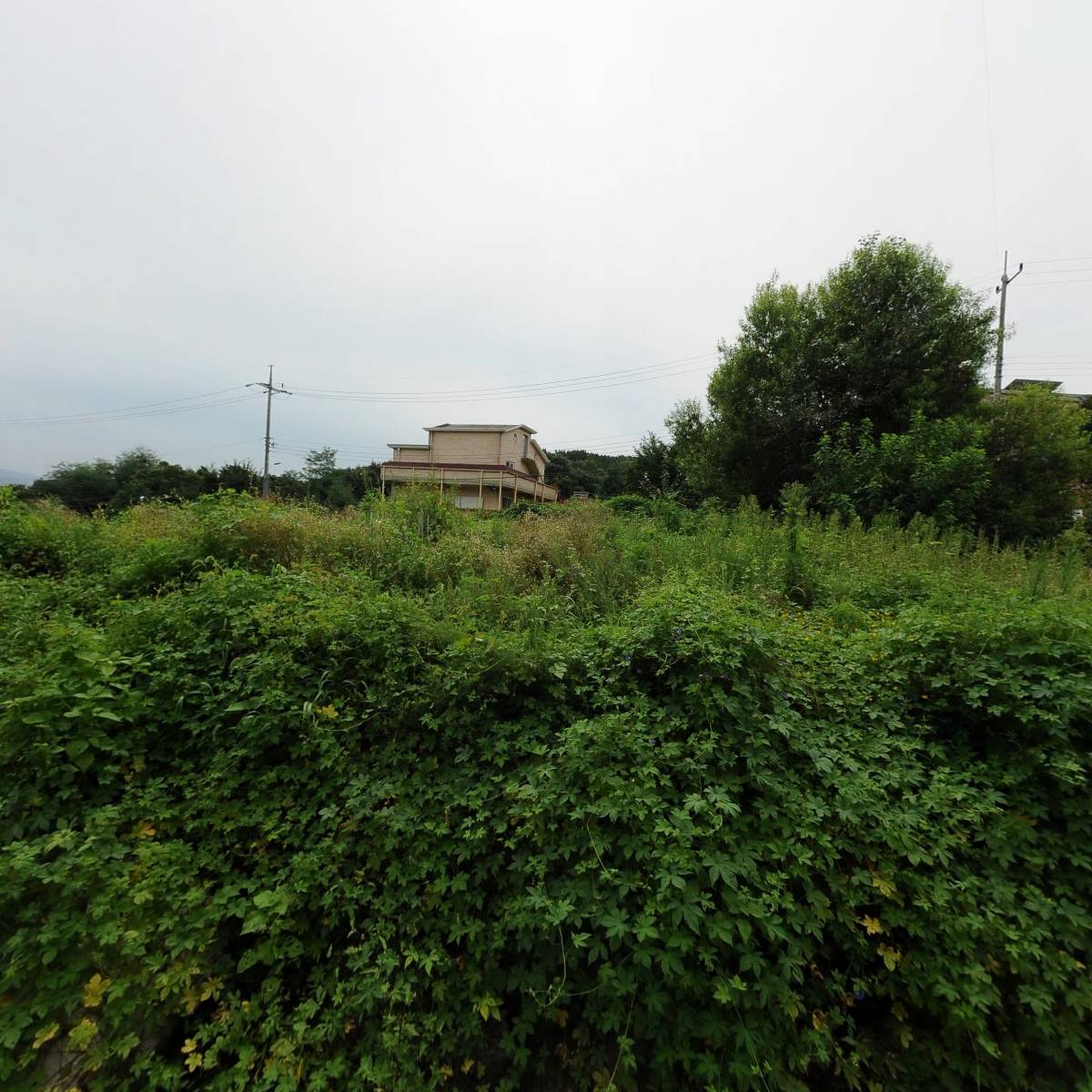 부릉 탄현_3