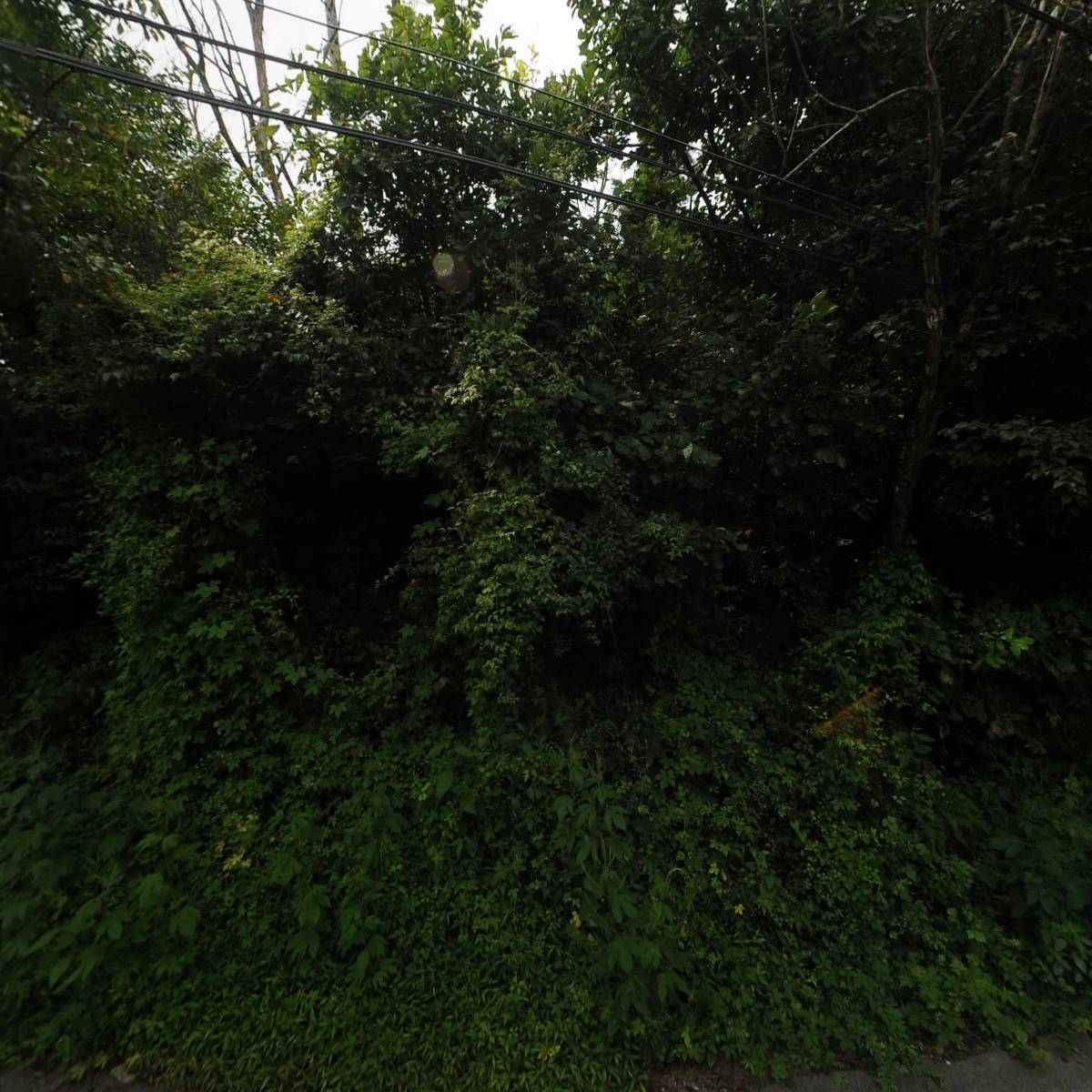 주식회사 프레스온(PRESSON Inc.)