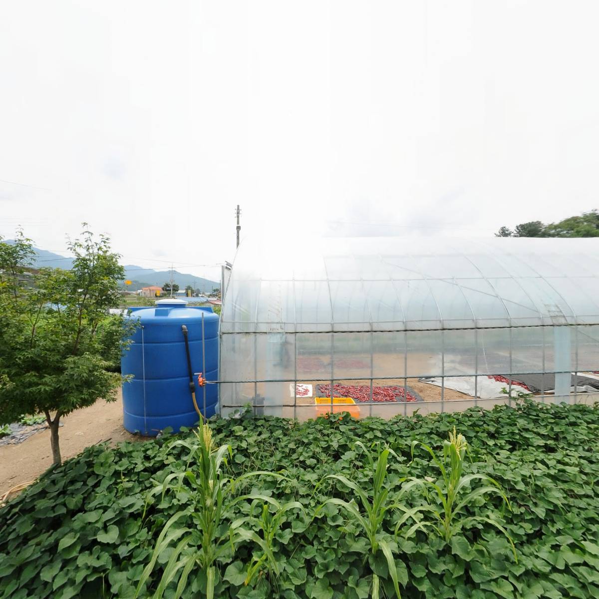 열두달_3