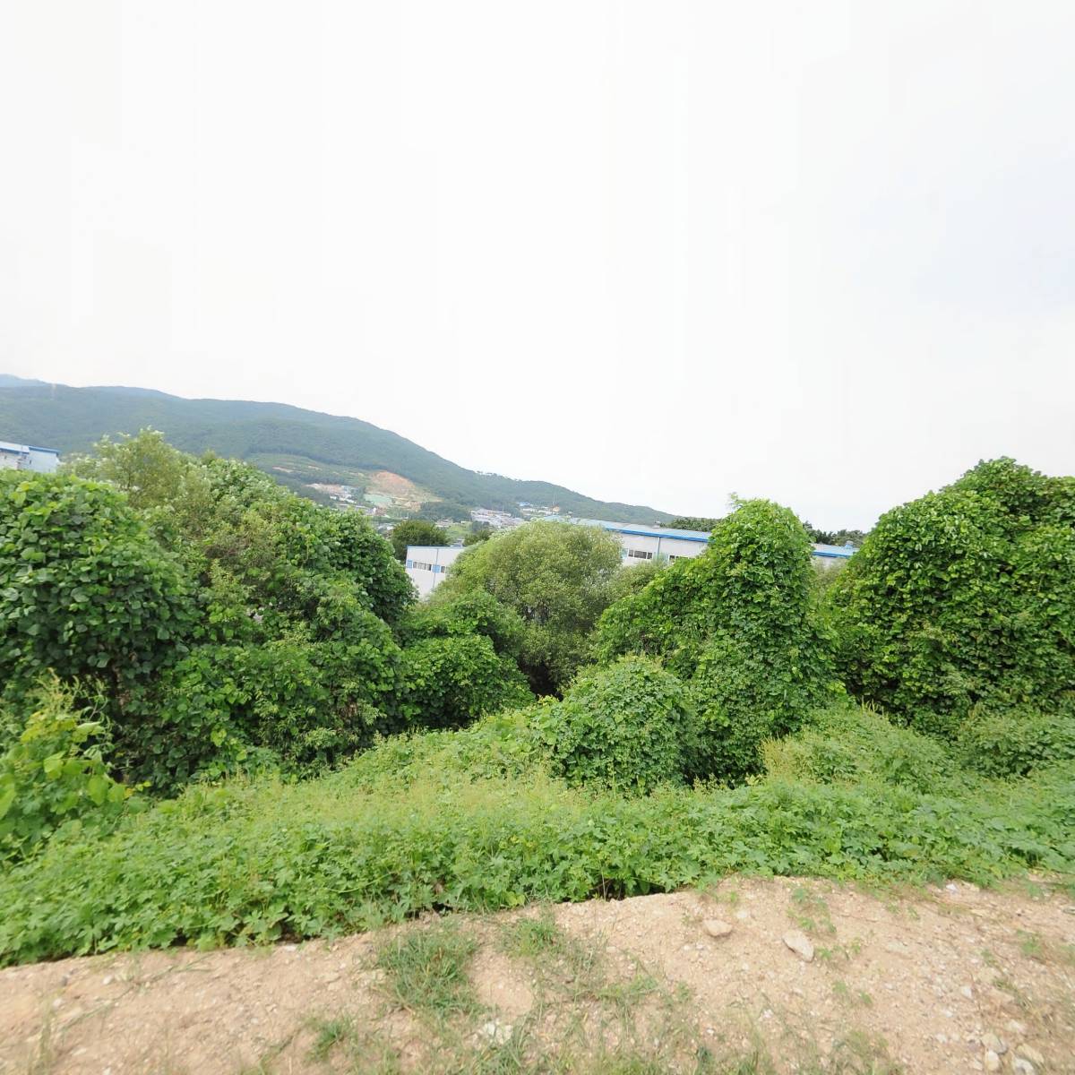 영민상사_3