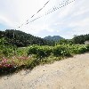 손수 쌈과 함께_3