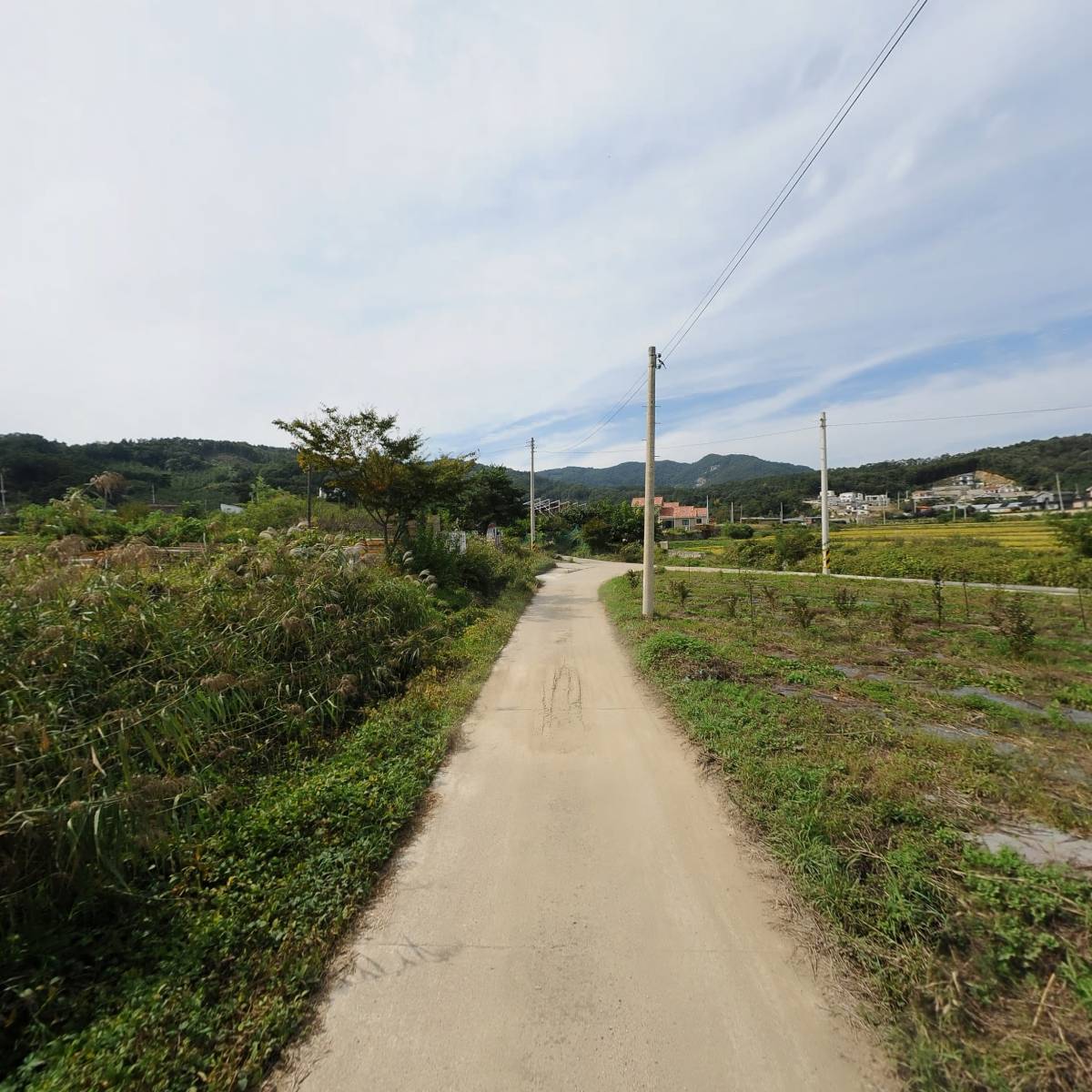 양평군 전문건설여성기업 및 장애인기업_2
