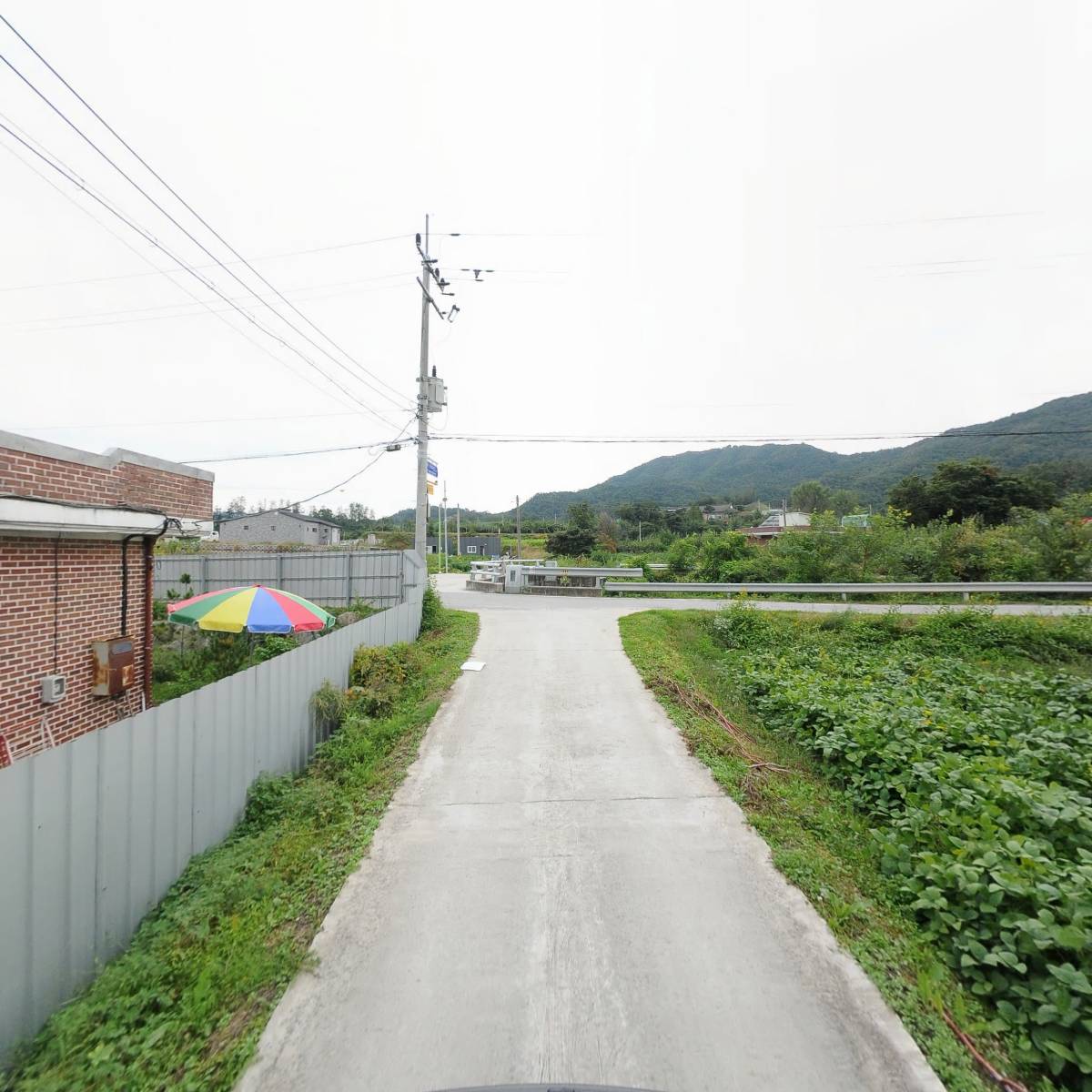 골드스카이크레인_2