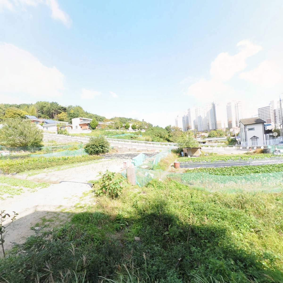 부산우유기장대리점_3