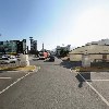 밀성초등학교 39회 동기회_2