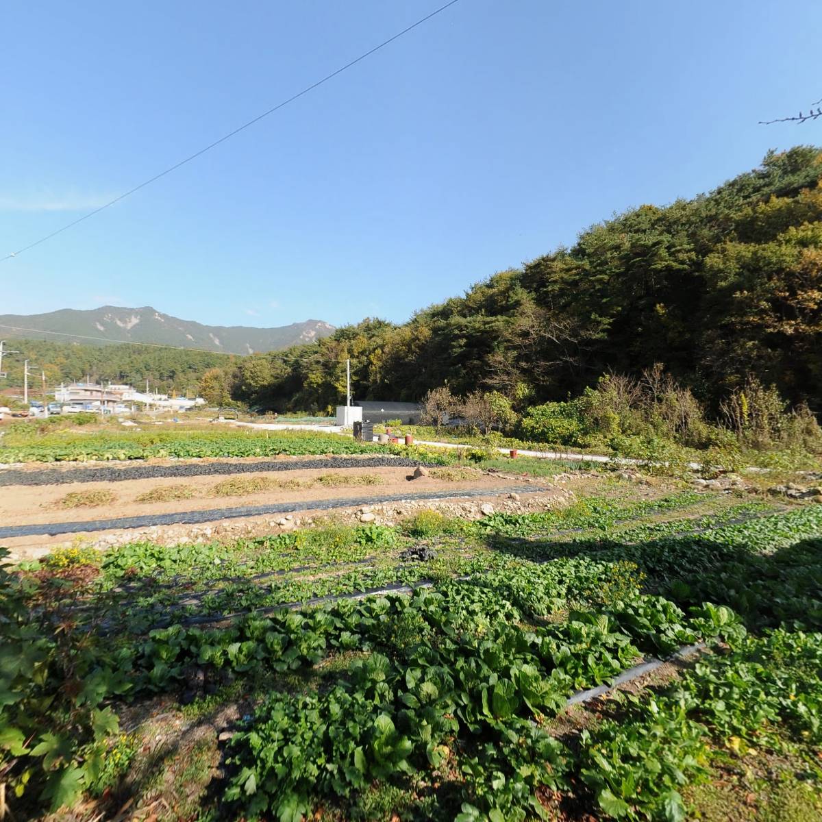 대한민국고엽제전우회경남지부사천시지회