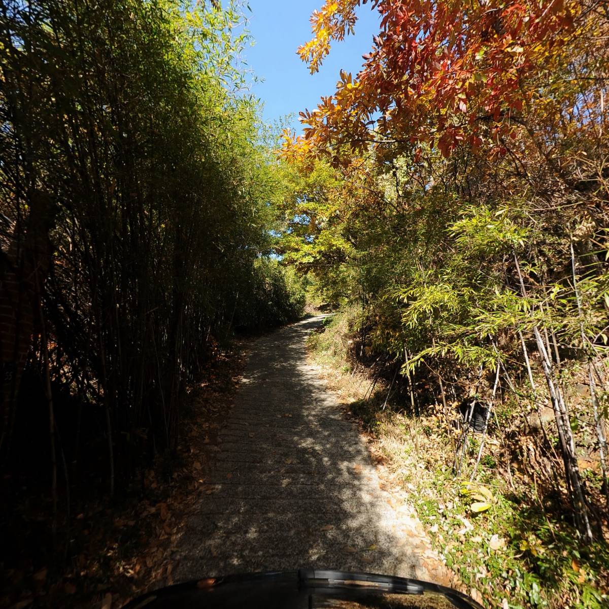 오죽정사_2