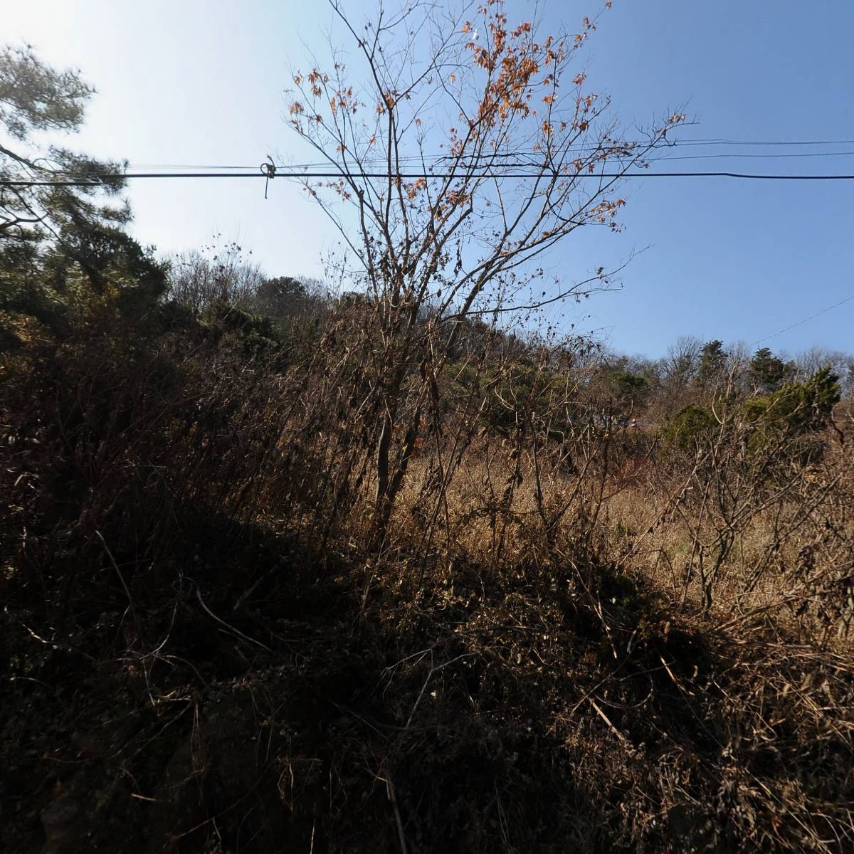 (주)알렉스코스메틱아시아_3