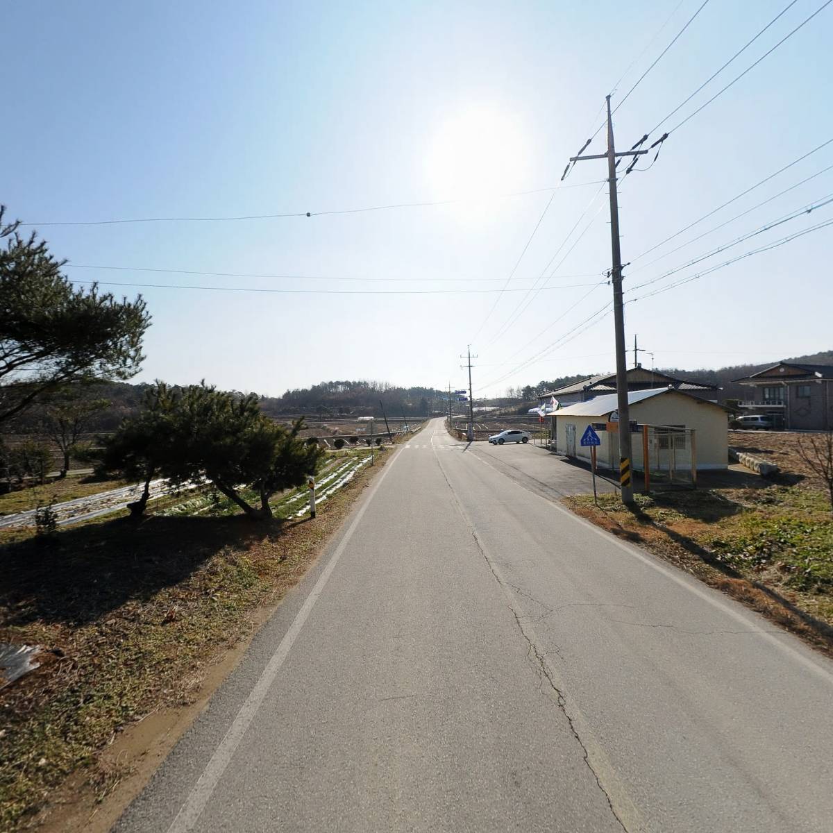 백설농부_2