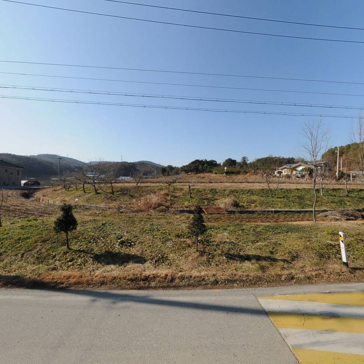 백설농부_3