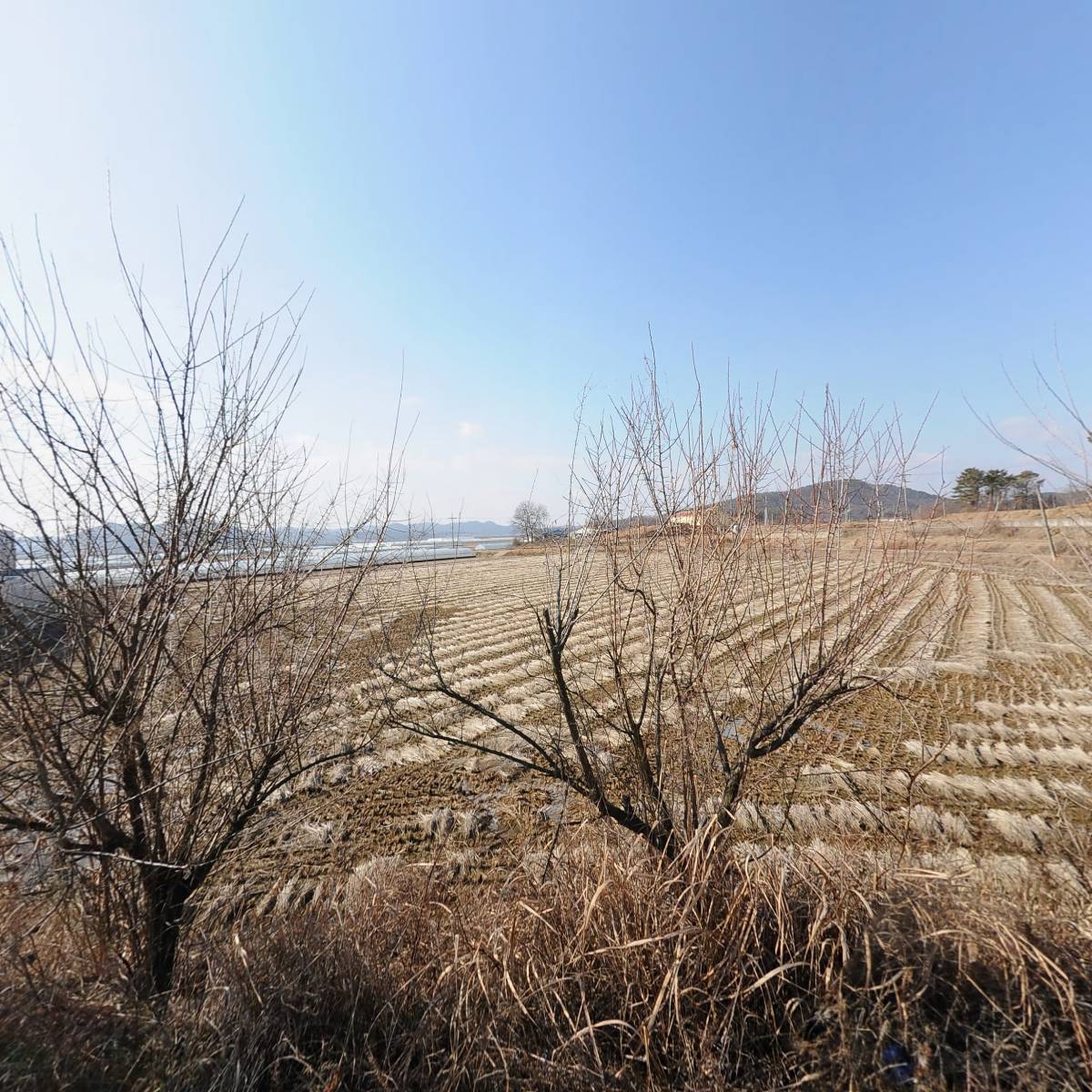 사비팜영농조합법인