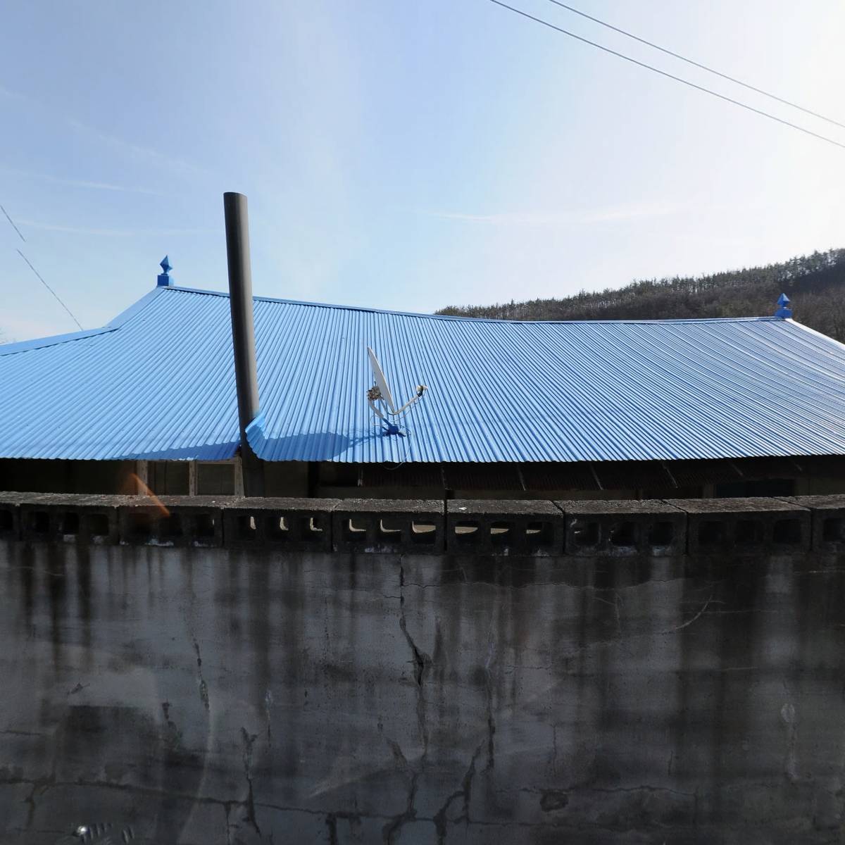 온산애 팜