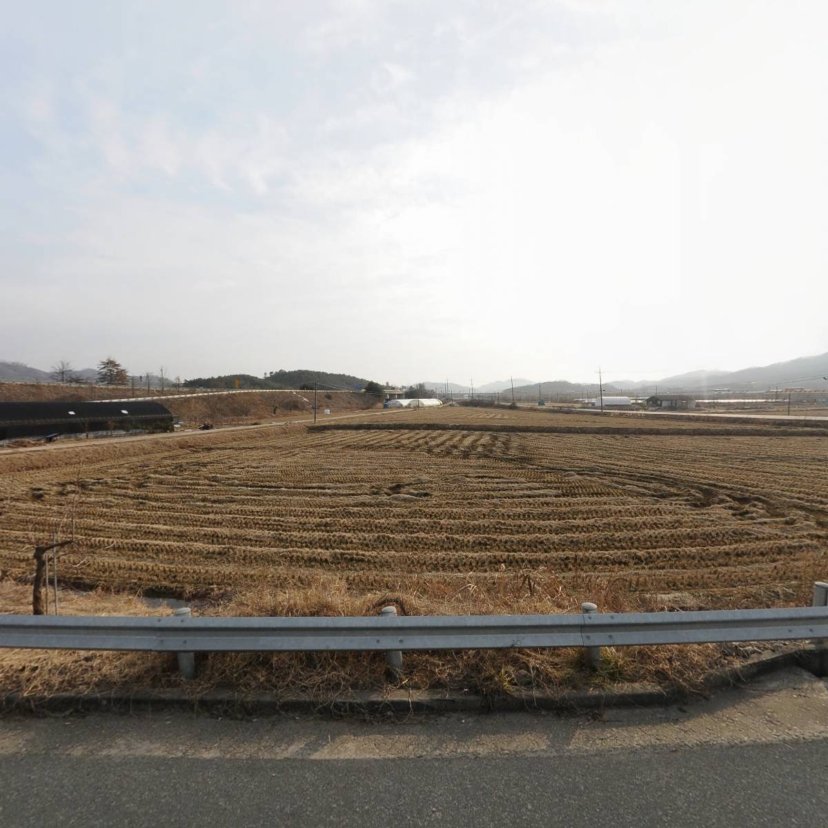 바위솔사랑 식물원