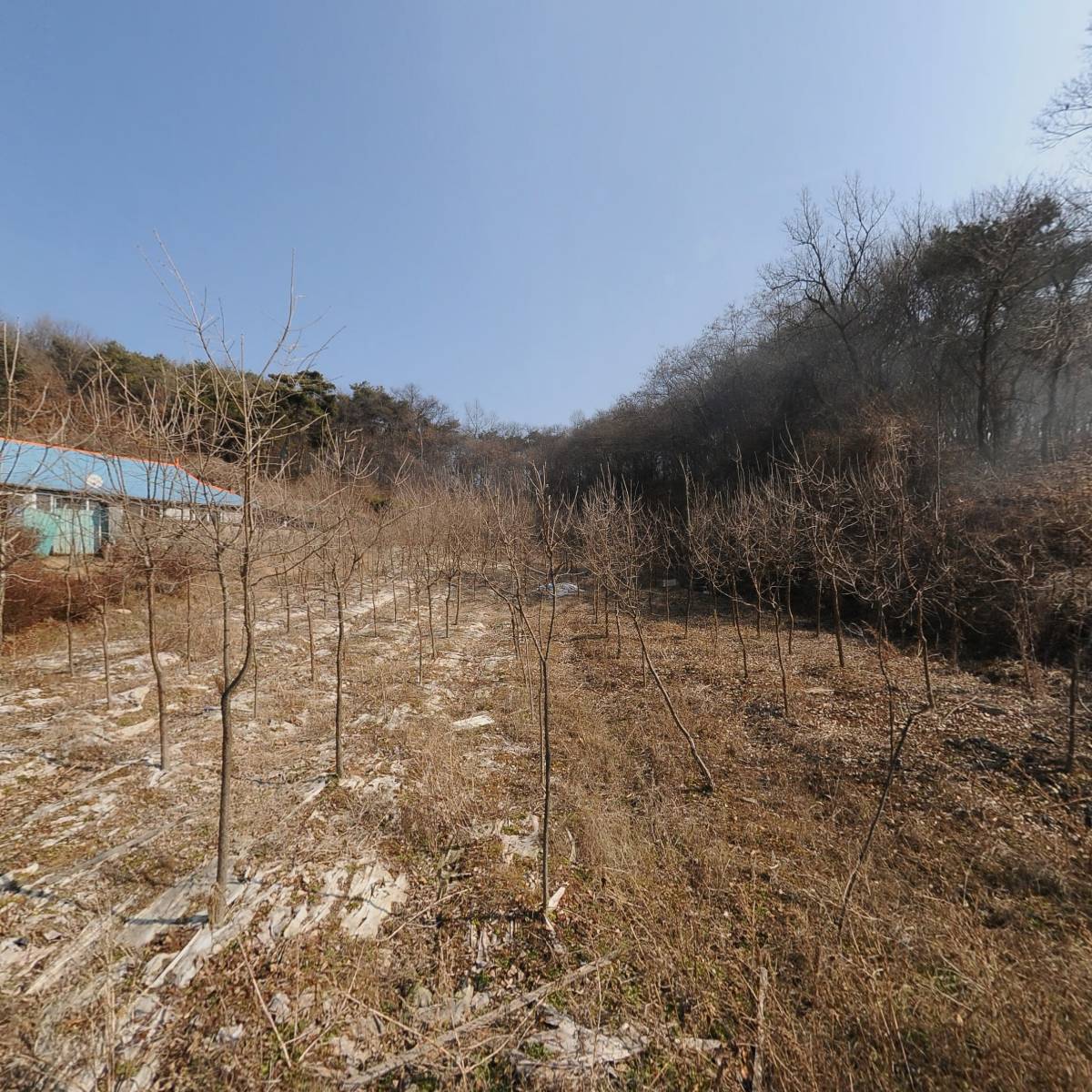 주식회사 즐미가 농업회사법인