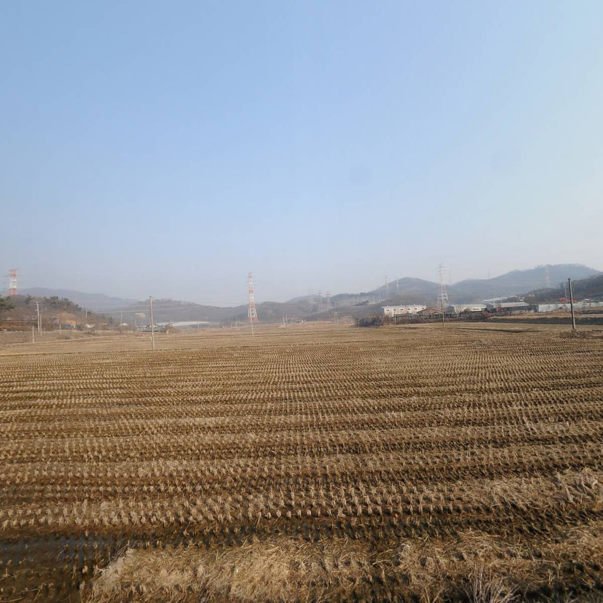 아산한일농장_3