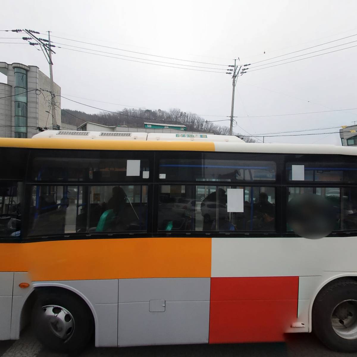 내추럴스타홀딩스