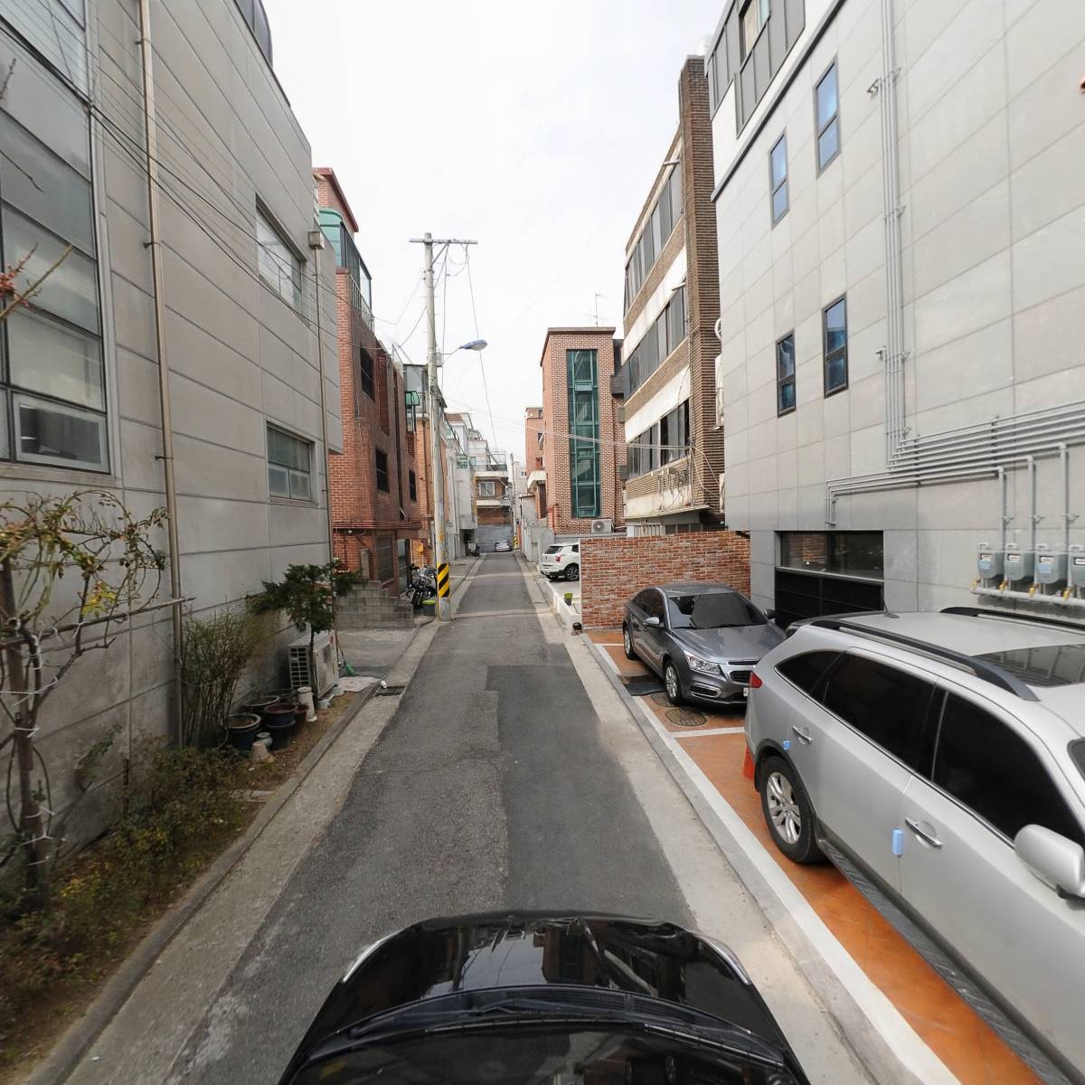 블랙카우랩스_4