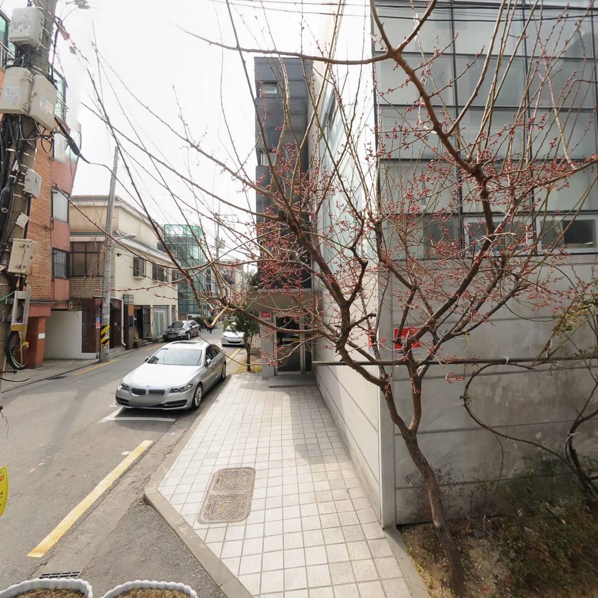 블랙카우랩스_3