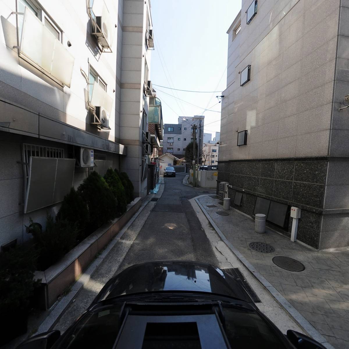 림피드_4