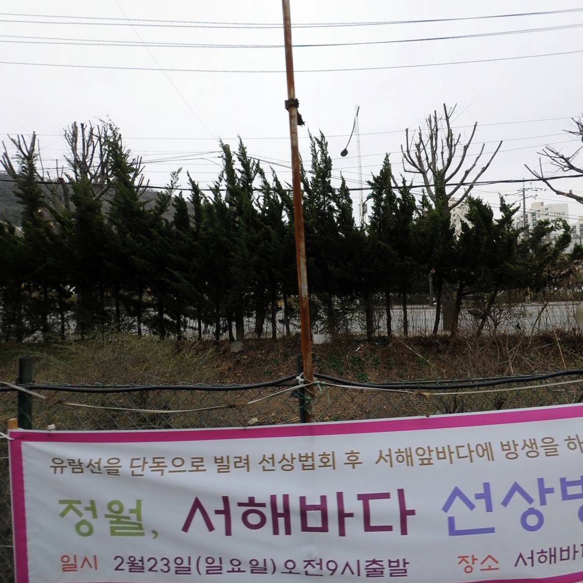 어스독인천점