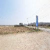 황금낚시_3